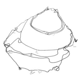 Colier Damă Victorio &...