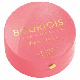 Róż Little Round Bourjois