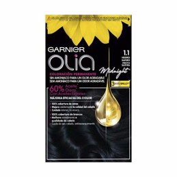 Permanent Dye Garnier Olia...