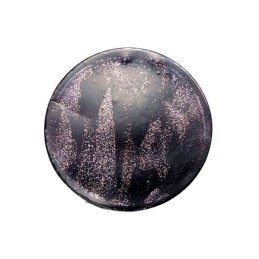 Pandantiv Viceroy VMC0019-07