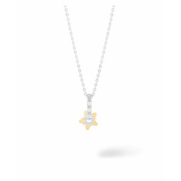 Ladies' Necklace Secrecy...