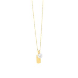 Ladies' Necklace Secrecy...