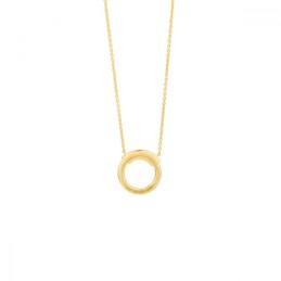 Ladies' Necklace Secrecy...