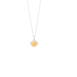 Ladies' Necklace Secrecy...