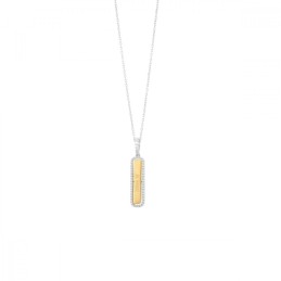 Ladies' Necklace Secrecy...