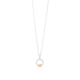 Ladies' Necklace Secrecy...