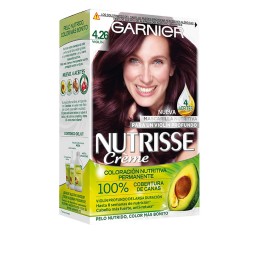 Permanent Dye Garnier...