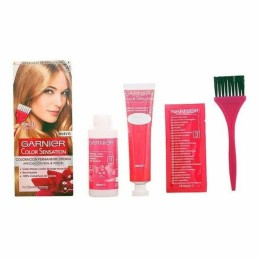 Permanent Dye Garnier Color...