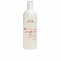 2-in-1 Gel and Shampoo...