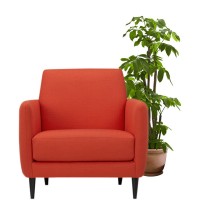 Cadouri pentru Casă